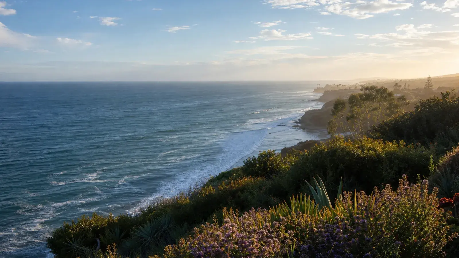 Pacific vista from Newport Beach coastal bluff — breast augmentation context Pacific vista from Newport Beach coastal bluff — breast augmentation context | SurgiSculpt®