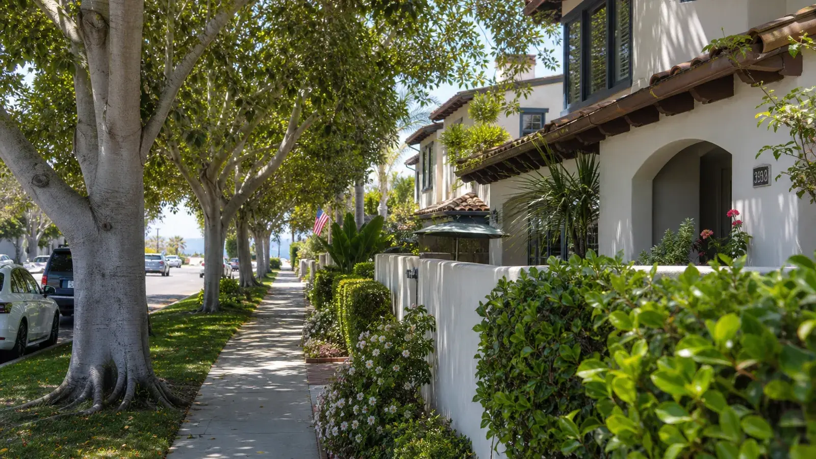 Tree-lined Newport Beach neighborhood sidewalk near the coast — mommy makeover context Tree-lined Newport Beach neighborhood sidewalk near the coast — mommy makeover context | SurgiSculpt®