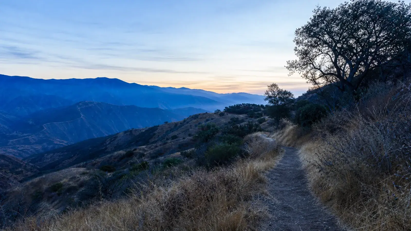Dawn San Gabriel foothills trail near Pasadena for gynecomastia lifestyle context Dawn San Gabriel foothills trail near Pasadena for gynecomastia lifestyle context | SurgiSculpt®