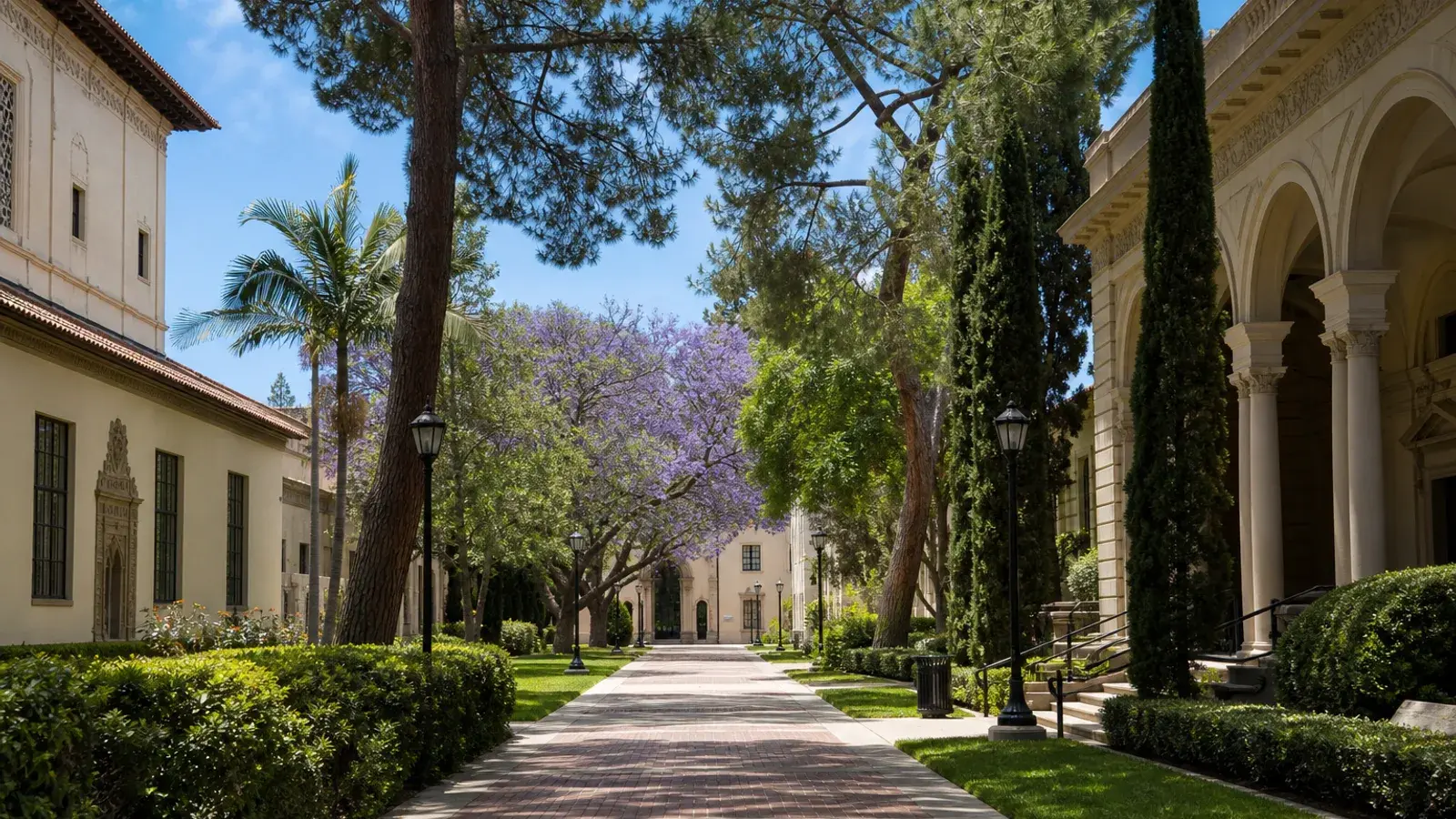 Academic campus tree-lined walkway architecture exterior in Pasadena Academic campus tree-lined walkway architecture exterior in Pasadena | SurgiSculpt®