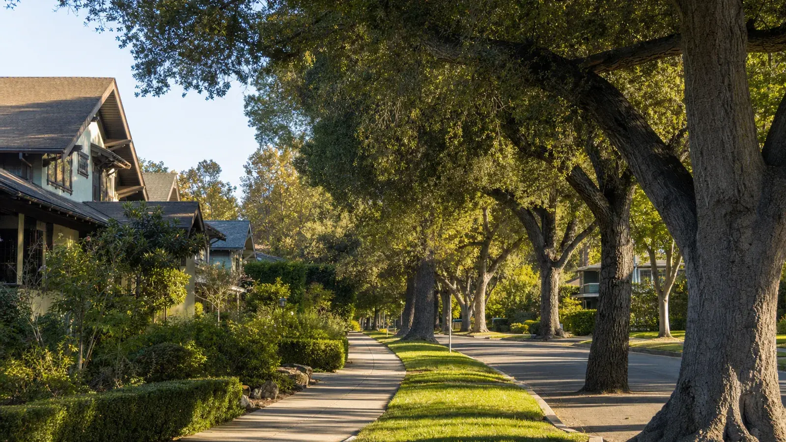 Tree-lined Pasadena residential street for mommy makeover family lifestyle context Tree-lined Pasadena residential street for mommy makeover family lifestyle context | SurgiSculpt®