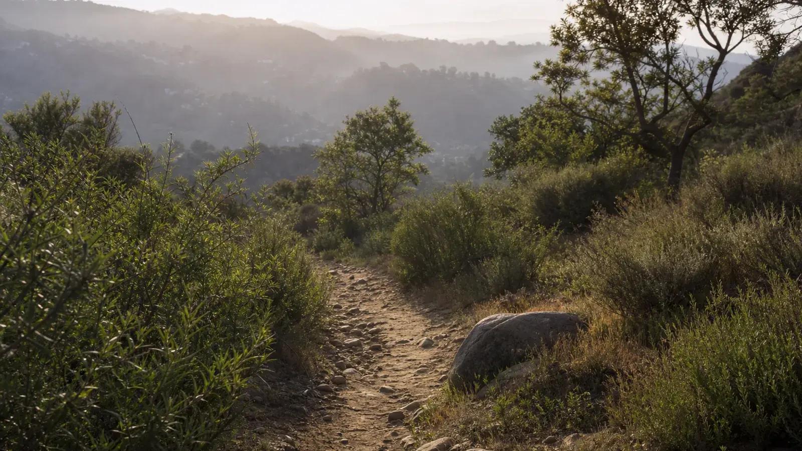 Arroyo Seco foothills walking path near Pasadena at soft morning light Arroyo Seco foothills walking path near Pasadena at soft morning light | SurgiSculpt®