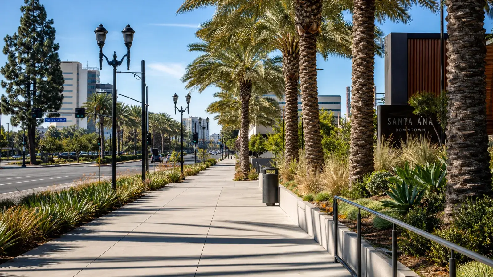 Palm-lined Santa Ana boulevard walkway outdoors — breast augmentation lifestyle Palm-lined Santa Ana boulevard walkway outdoors — breast augmentation lifestyle | SurgiSculpt®