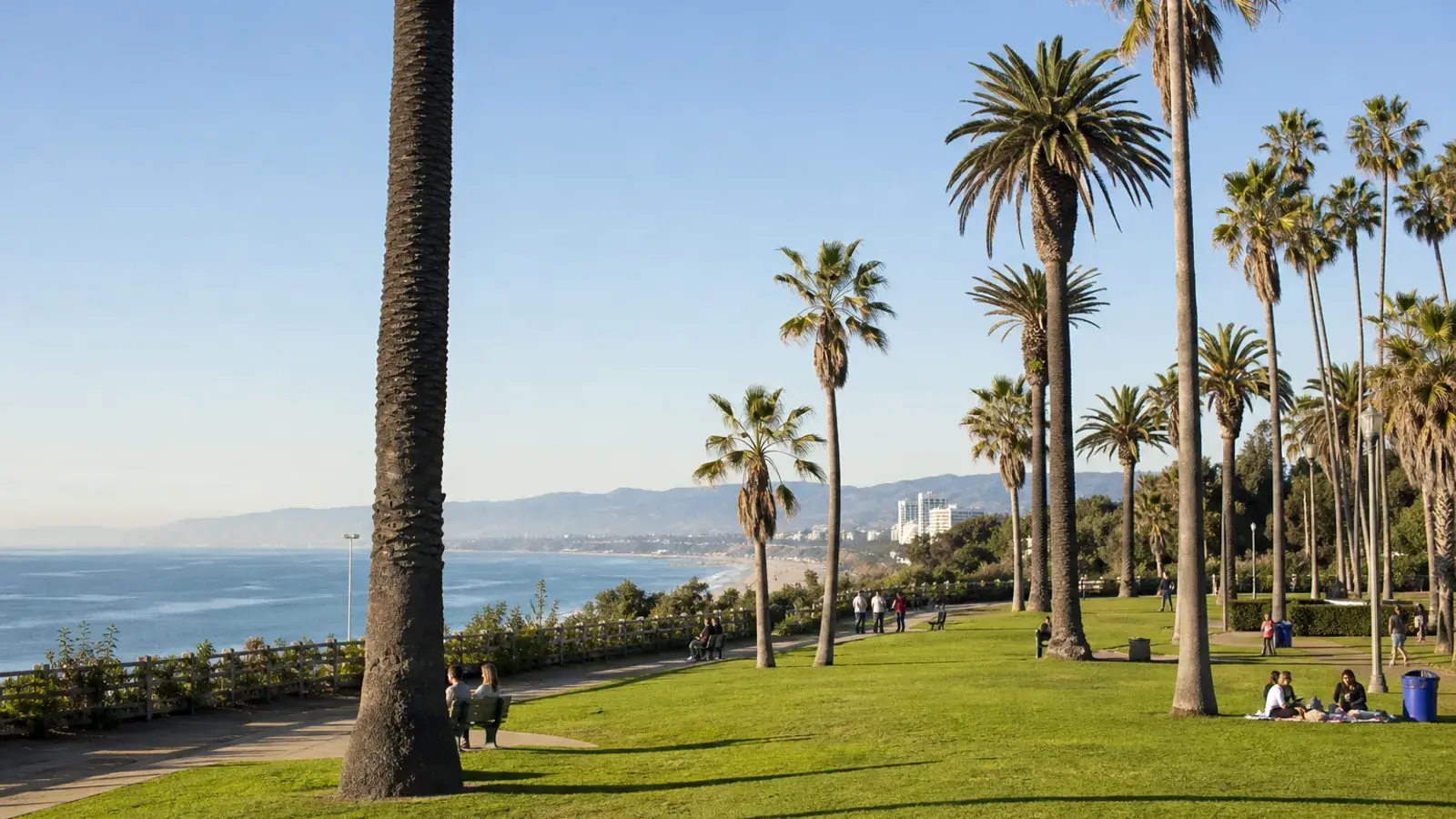 Santa Monica oceanfront park with palms — mommy makeover lifestyle Santa Monica oceanfront park with palms — mommy makeover lifestyle | SurgiSculpt®
