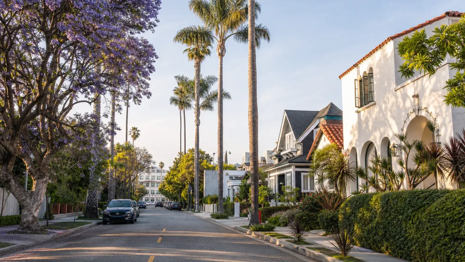 Quiet Santa Monica residential street — tummy tuck recovery mood Quiet Santa Monica residential street — tummy tuck recovery mood | SurgiSculpt®