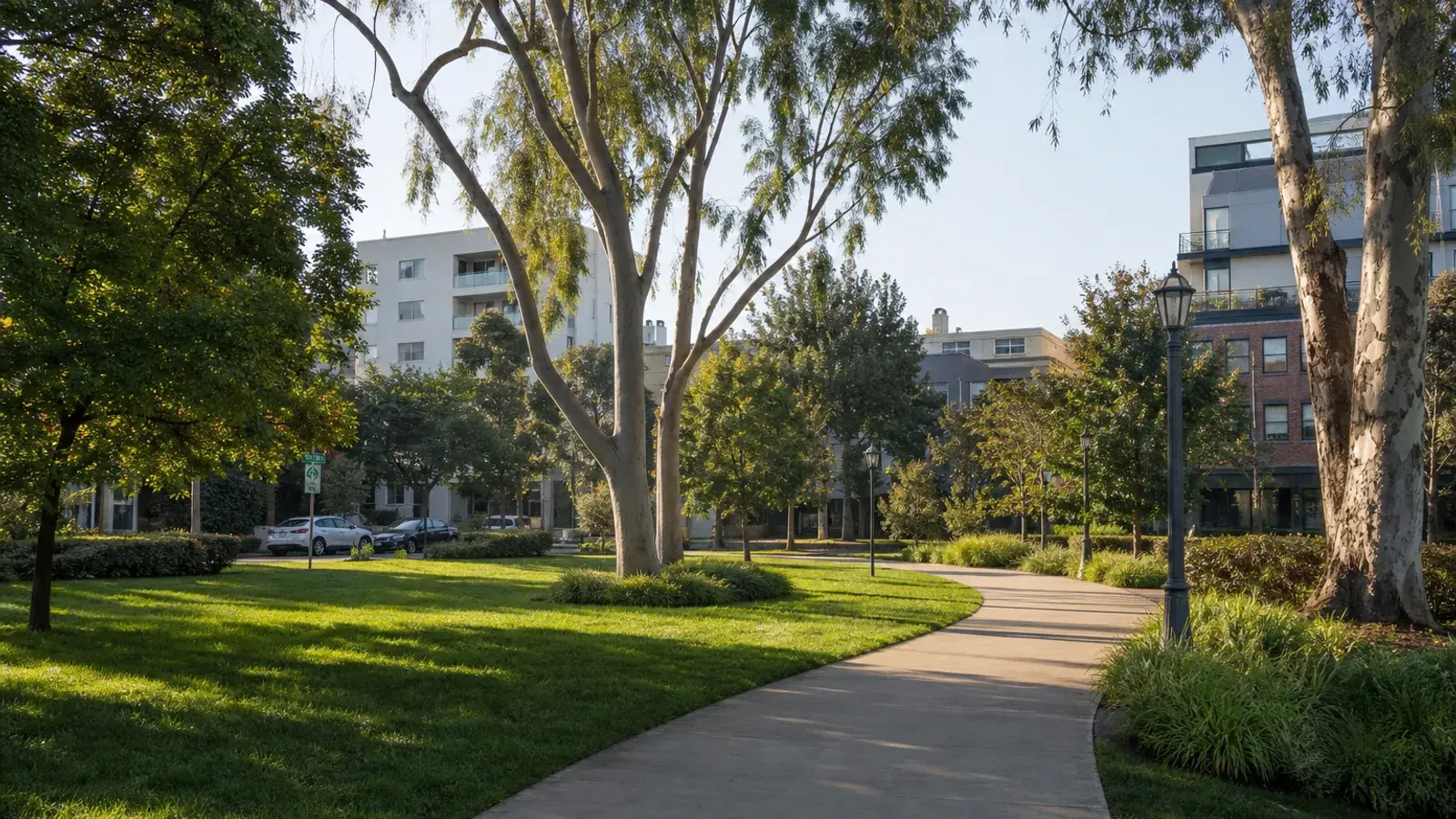 West Hollywood neighborhood park path in soft morning light — mommy makeover recovery mood West Hollywood neighborhood park path in soft morning light — mommy makeover recovery mood | SurgiSculpt®