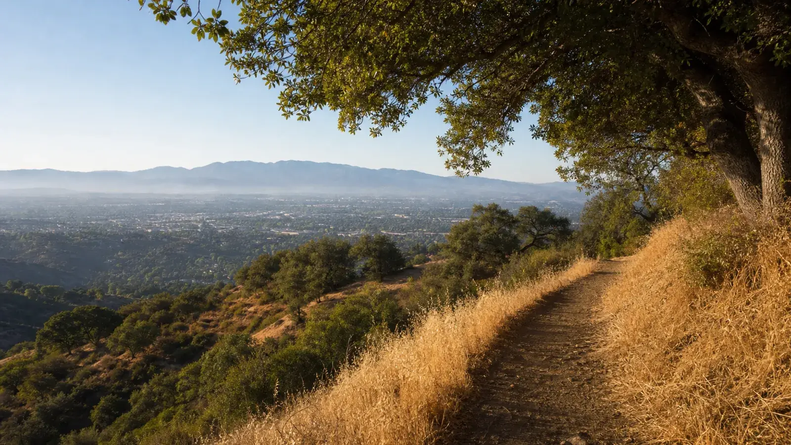 Oak-dotted hillside trail above Woodland Hills in morning canyon light — HD lipo lifestyle Oak-dotted hillside trail above Woodland Hills in morning canyon light — HD lipo lifestyle | SurgiSculpt®